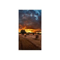 SAMSUNG Zaslon za digitalno oglašavanje VM55B-U VMB-U Series, 55", LED, Full HD